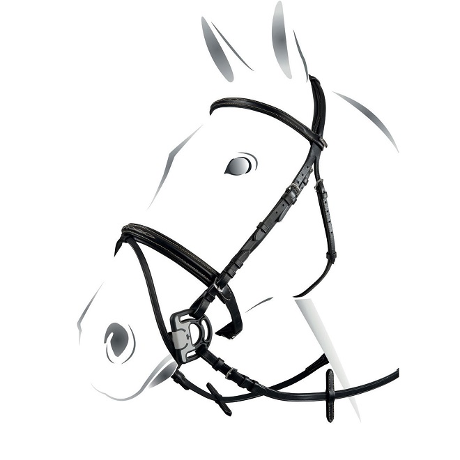 BRIGLIA EQUESTRO "DECO"* Briglie 